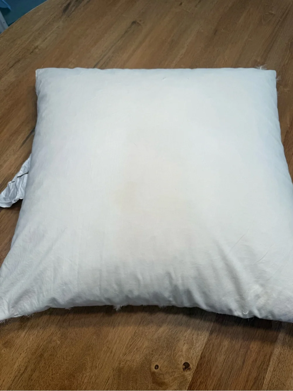 Pottery barn euro sham pillow insert feather down 26x26”